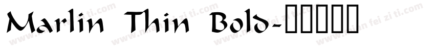 Marlin Thin Bold字体转换